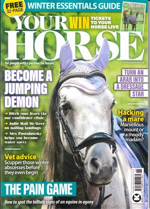 Your Horse - NOV 24