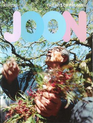 Joon - PRUNING